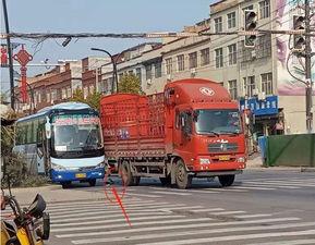 杞县北关车祸最新爆料,悲剧现场细节披露，伤亡情况引关注